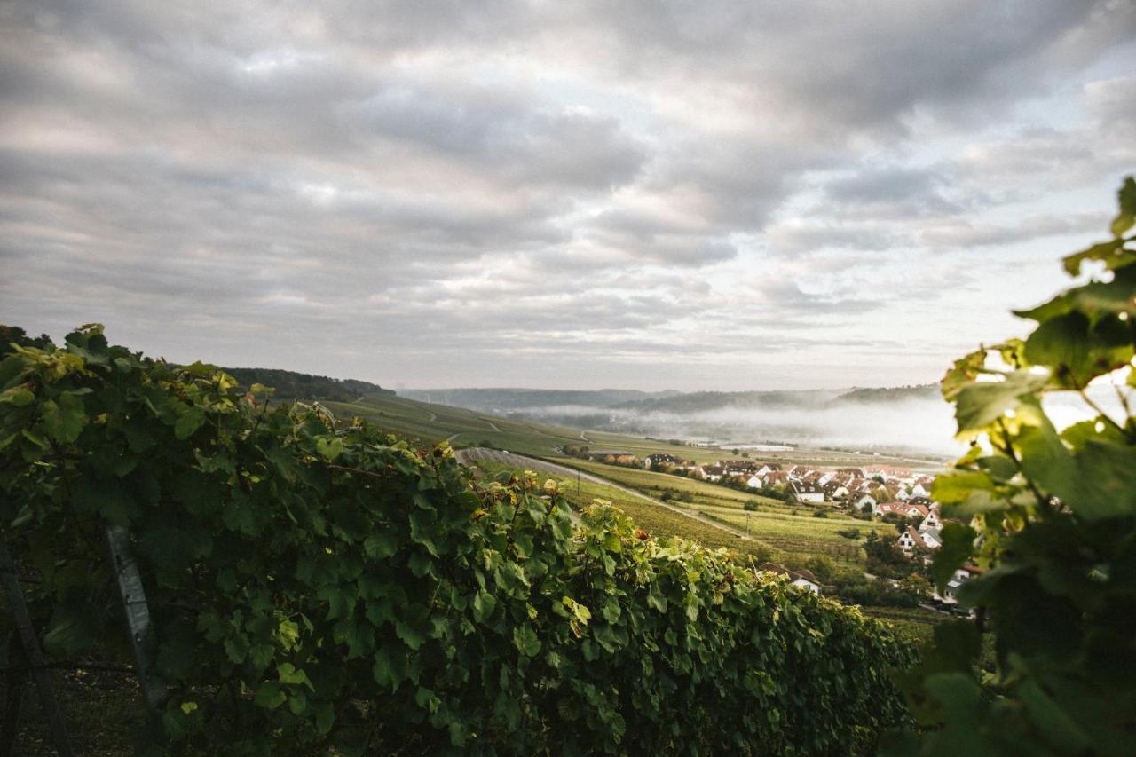 Hotel Weingut Pastoriushaus - Artur Steinmann Sommerhausen Zewnętrze zdjęcie